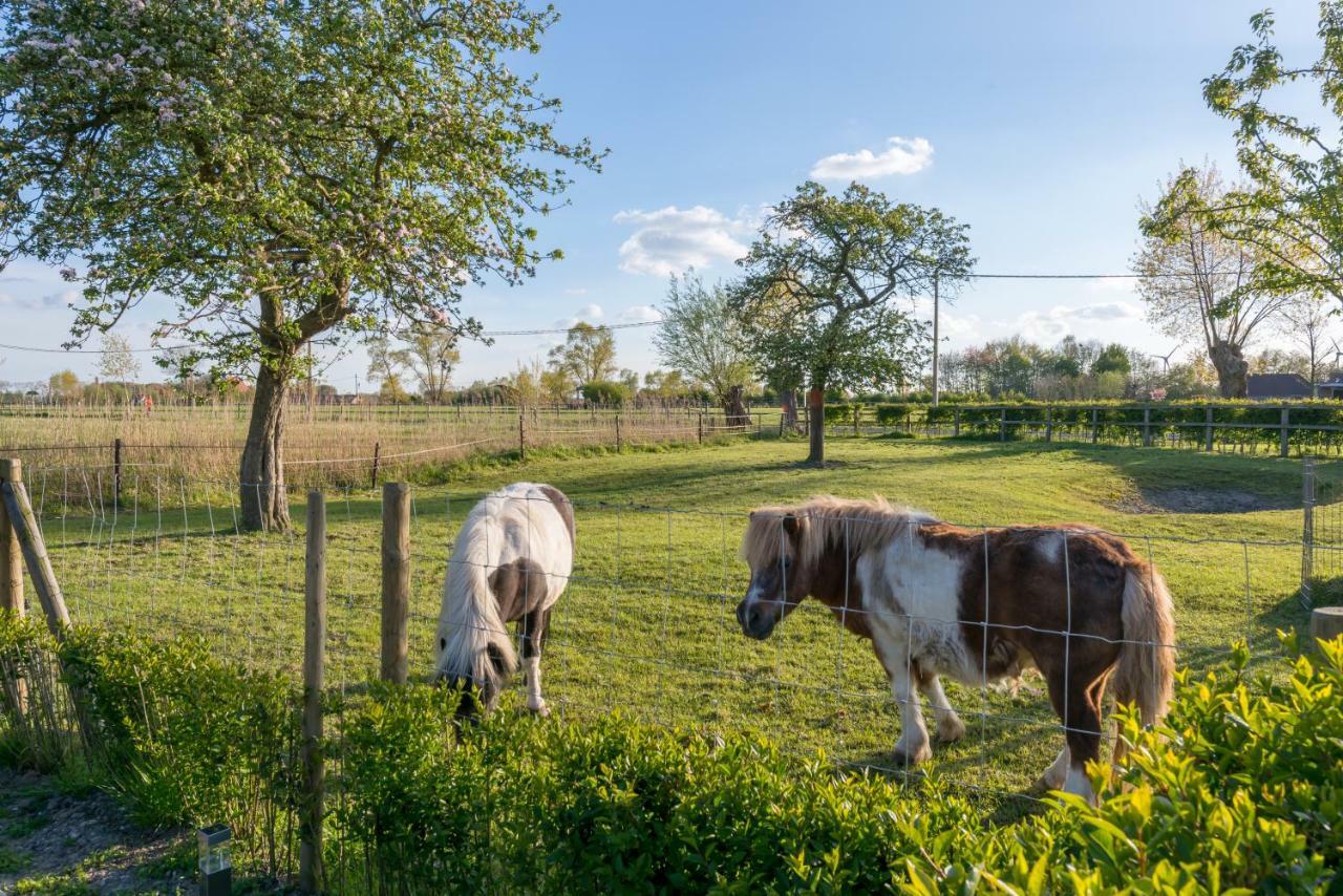 Hoeve De Zuidhoek Брюгге Экстерьер фото
